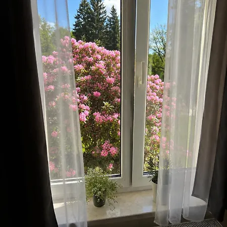 Fuerst Metternich In Apartment *