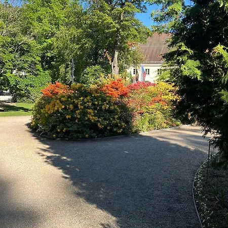Fuerst Metternich In Bad Elster